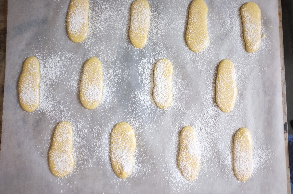 biscuits "langue de chat" avant d'être enfournés, saupoudrés de sucre glace