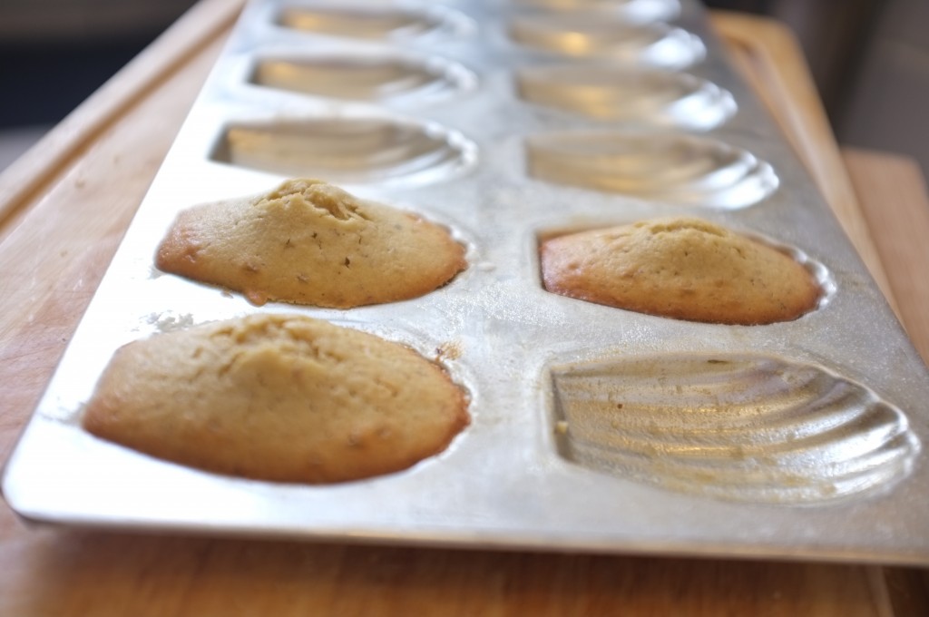 Les madeleines à la sortie du four