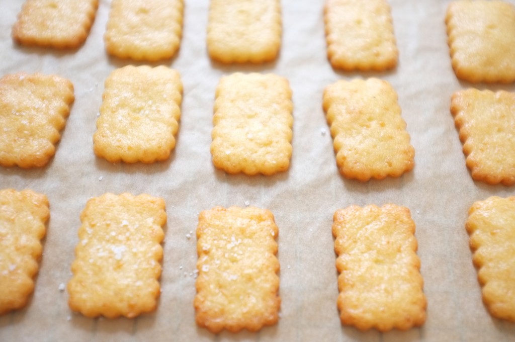 Après cuisson, les crackers sont gonflés et dorés, la belle couleur du cheddar resort