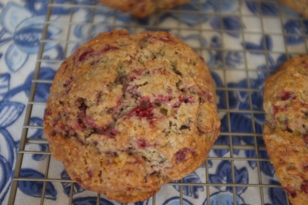 Les petits gâteaux individuels refroidissent sur la grille