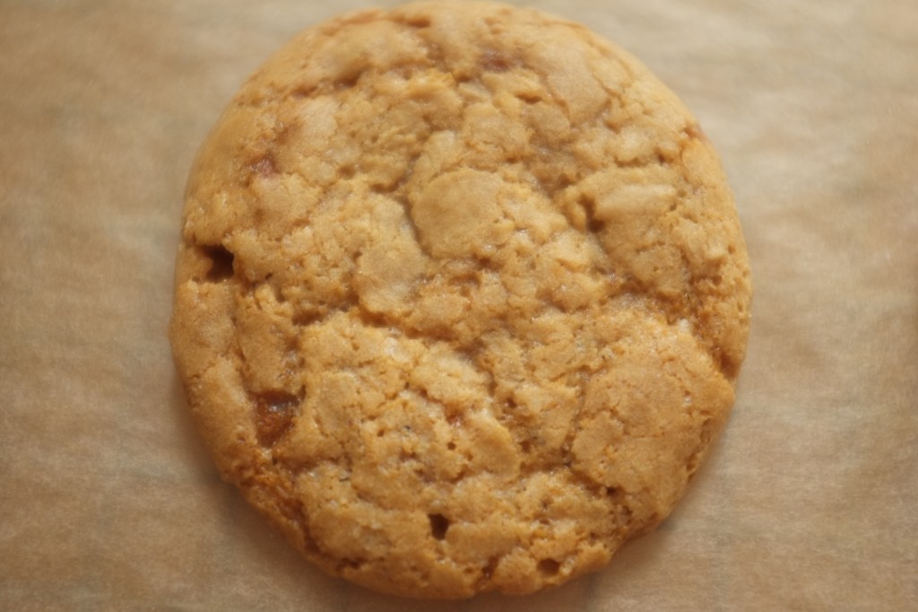 on peut voir les goutes du sirop d'érable sur le cookie