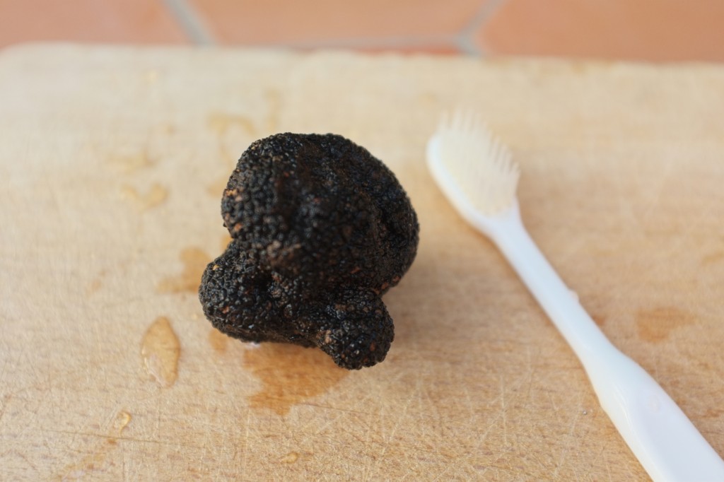 La truffe d'été est nettoyée de sa terre délicatement avec une brosse à dent très douce