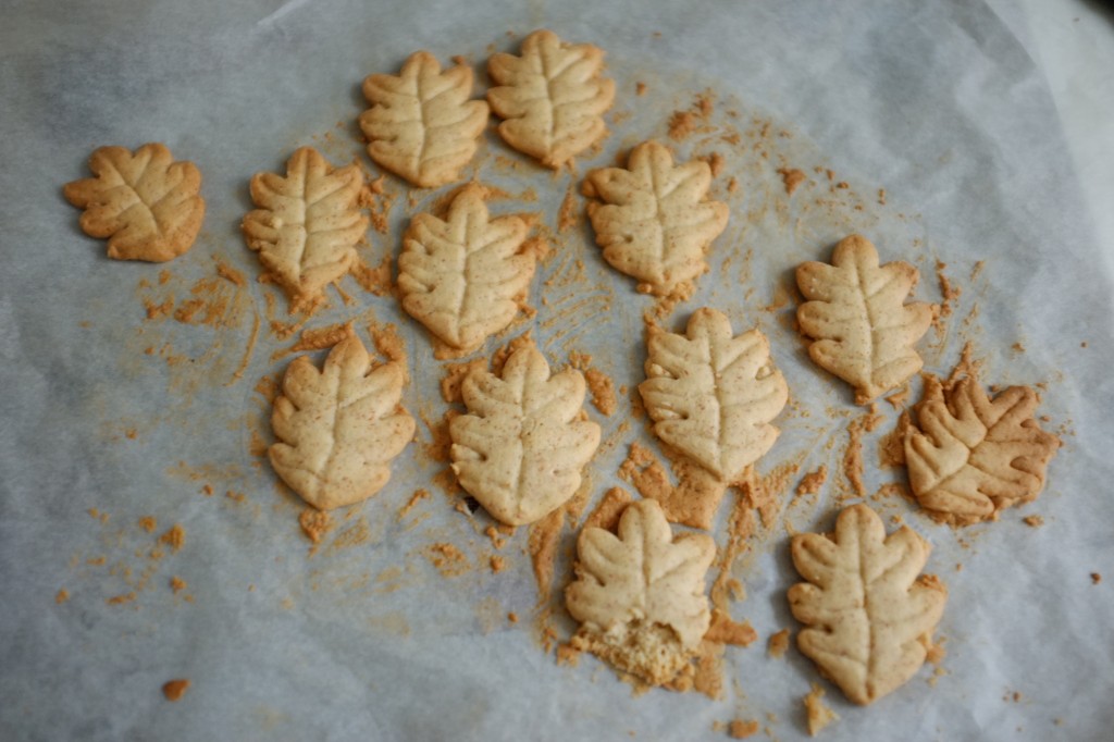 Les biscuits sa,s gluten à la noisette, à la sortie du four