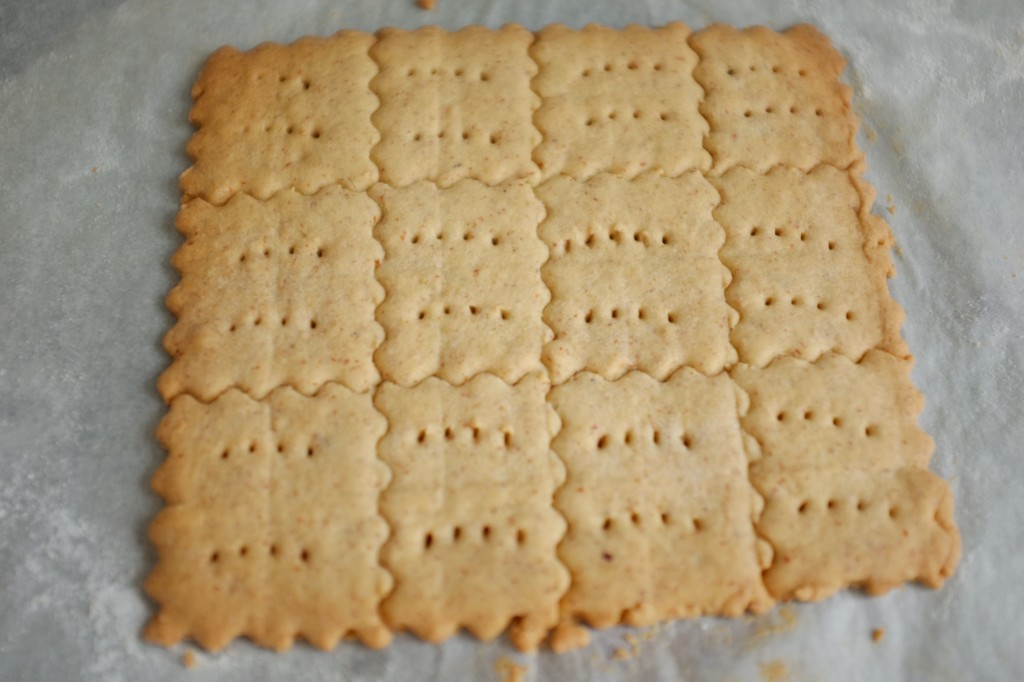 La plaque de biscuits sans gluten à la sortie du four