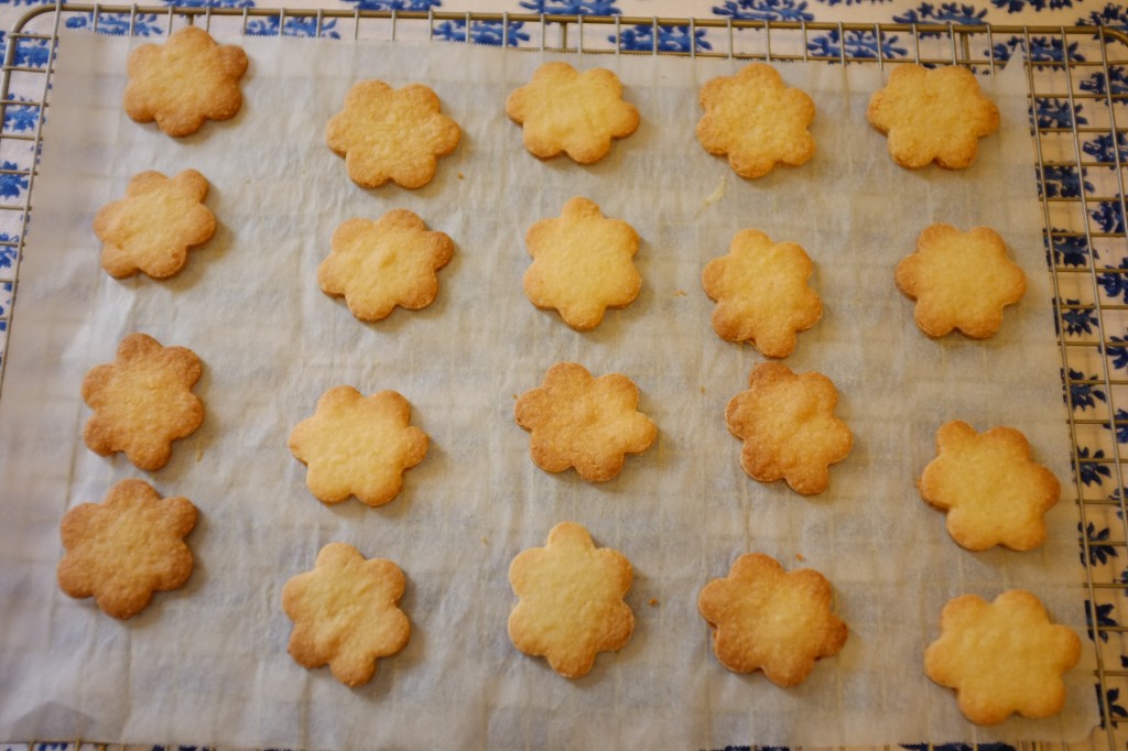 Les biscuits sans gluten  "marguerite" à la sortie du four