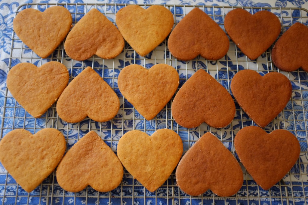 recette sans gluten de biscuit à la farine de coco Clem