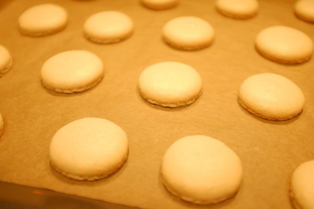 Les macarons sans gluten à la sortie du four