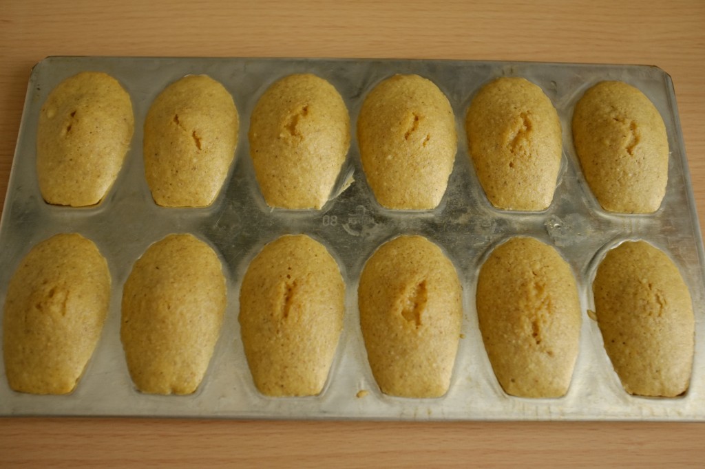 Les madeleine sans gluten à la farine de Souchet à la sortie du four