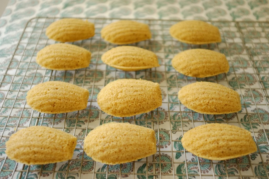 Les madeleines sans gluten à la farine de Souchet refroidissent sur une grille