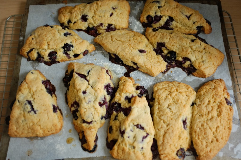 Les scones aux myrtilles fraiches à la sortie du four