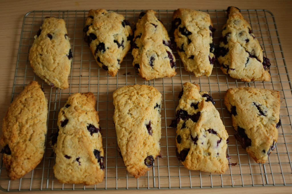 Les scones sans gluten aux myrtilles fraiches refroidissent sur une grille.