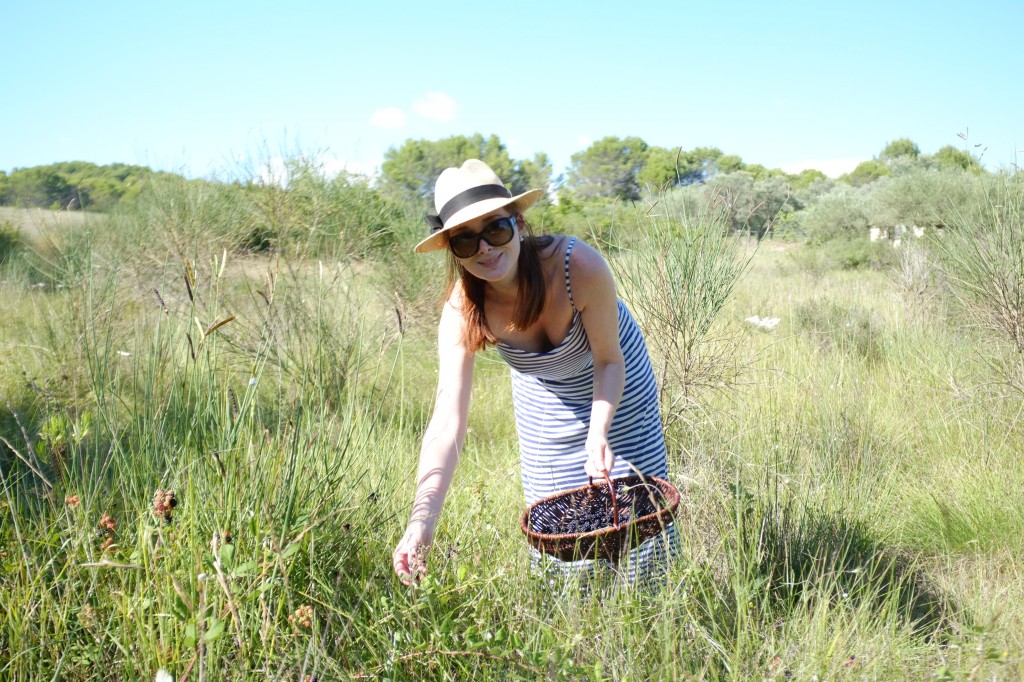 La ceuillette des mûres sauvages au fond du jardin