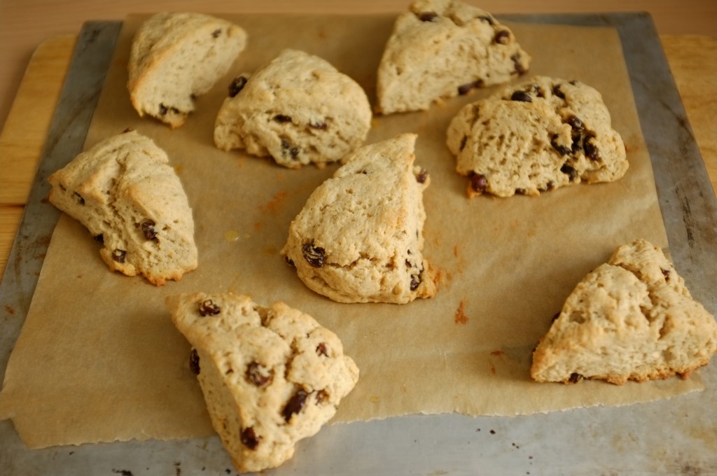 Les scones sans gluten raisin et cannelle à la sortie du four