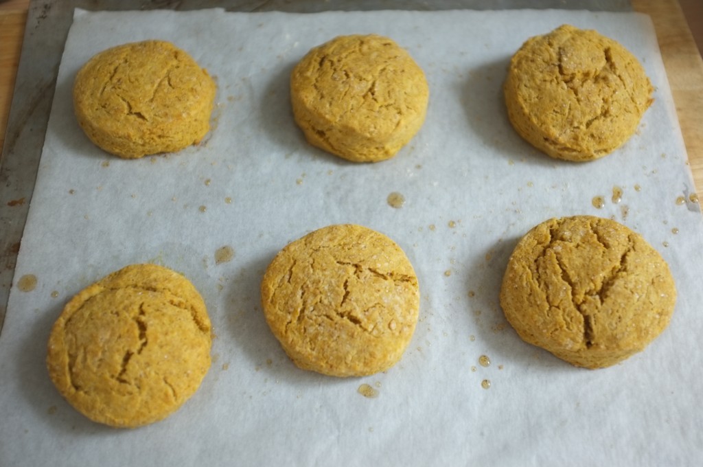 les scones sans gluten au potiron et sirop d'érable à la sortie du four