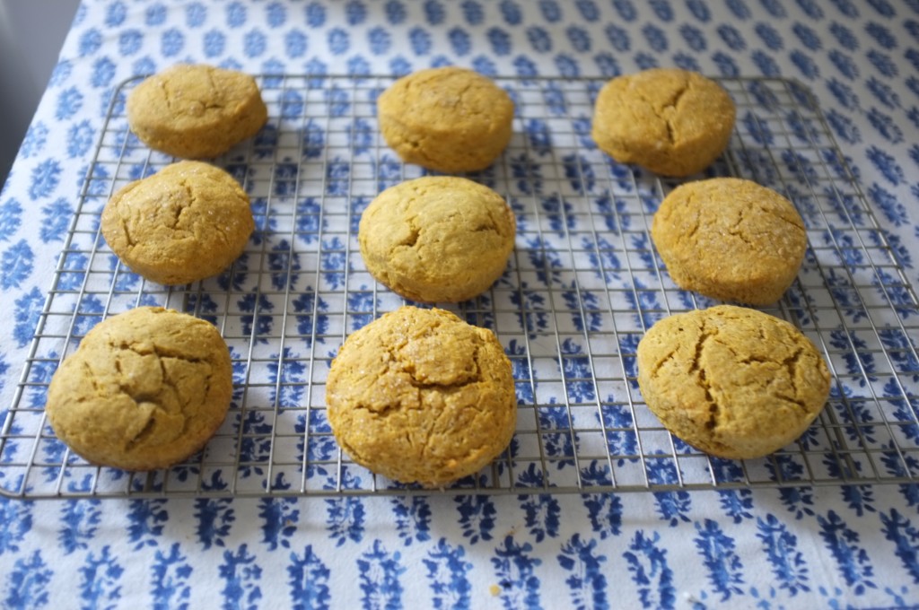 Les scones sans gluten au potiron et sirop d'érable refroidissent sur une grille