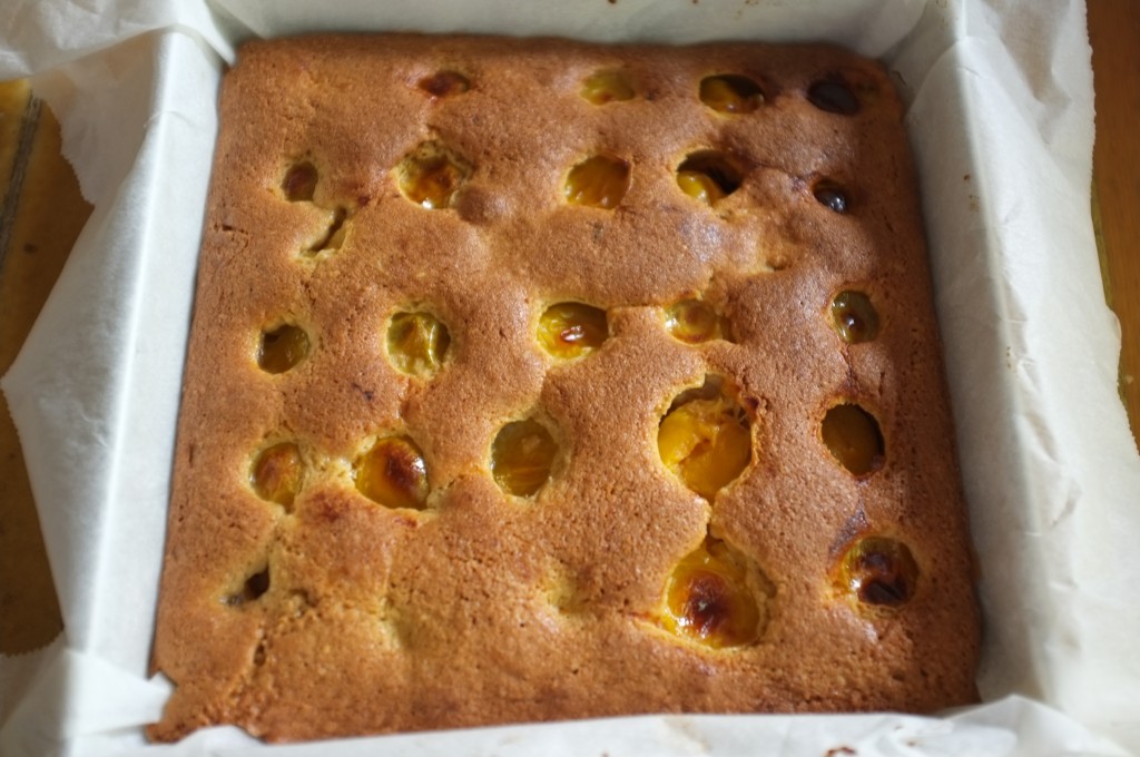 Le gâteau aux prunes jaunes à la sortie du four, il est bien doré par la farine de millet et la poudre d'amande.