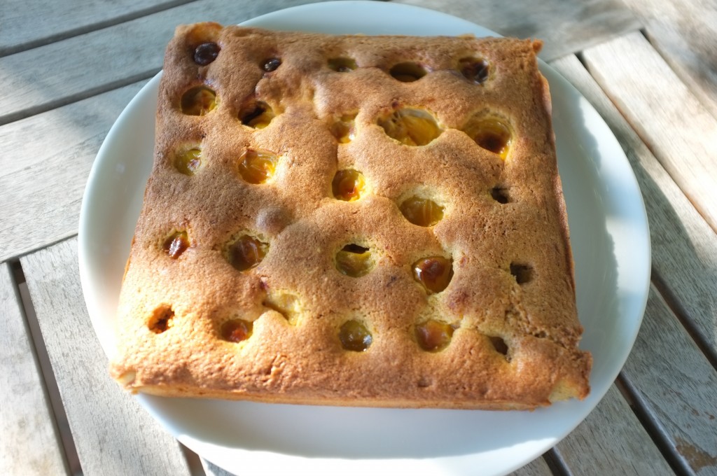 le gâteau sans gluten aux prunes jaunes pour le goûter.